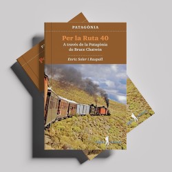 PATAGÒNIA - PER LA RUTA 40